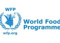 funding-crisis-forces-wfp-to-slash-nigeria-hunger-intervention-programme