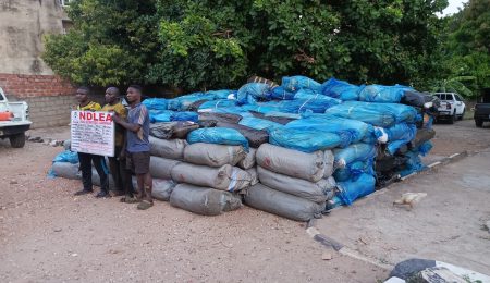 ndlea-arrests-339-suspects,-seizes-over-7,700kg-of-illicit-drugs-in-kogi