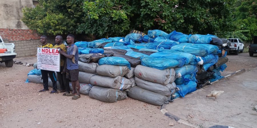 ndlea-arrests-339-suspects,-seizes-over-7,700kg-of-illicit-drugs-in-kogi