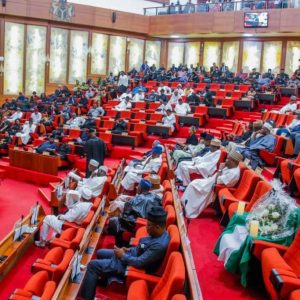 senate-defends-n25.91trn-2026-deficit,-pushes-full-electricity-subsidy-removal