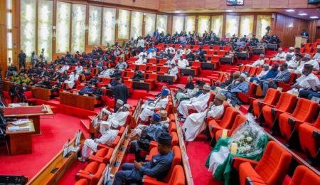 senate-defends-n25.91trn-2026-deficit,-pushes-full-electricity-subsidy-removal