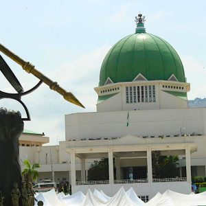 national-assembly-moves-to-grant-solid-minerals-first-line-charge-over-zero-capital-release