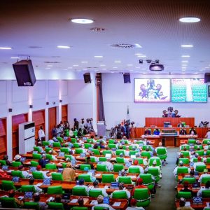reps-in-uproar-as-protests-rock-electoral-act-amendment