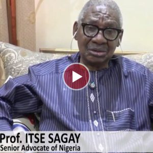 itse-sagay:-state-police-will-make-nigeria-safer,-governors-can-handle-it