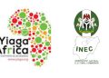 yiaga-africa-backs-inec-revised-2027-election-timetable