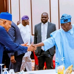 tinubu:-no-agent-of-instability-will-undermine-nigerias-peace,-unity