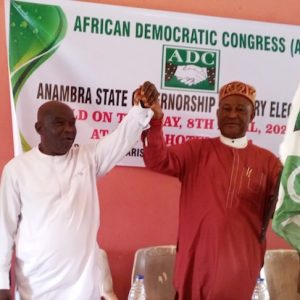 anambra-adc-chairman-laments-slow-registration,-portal-glitches-in-party-membership-drive