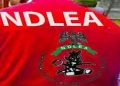 ndlea-arrests-74-year-old-man-with-11kg-cocaine-at-abuja-airport