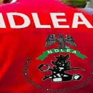 ndlea-arrests-74-year-old-man-with-11kg-cocaine-at-abuja-airport