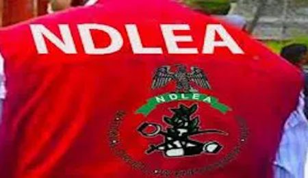 ndlea-arrests-74-year-old-man-with-11kg-cocaine-at-abuja-airport