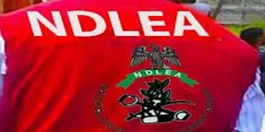 NDLEA Arrests 74-Year-Old Man With 11kg Cocaine At Abuja Airport ndlea-arrests-74-year-old-man-with-11kg-cocaine-at-abuja-airport