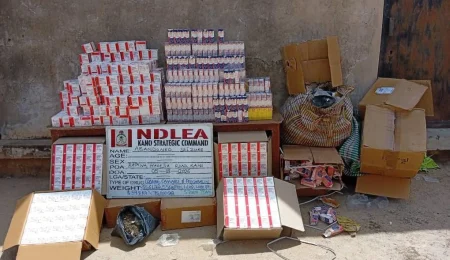 ndlea-seizes-75,000-pregabalin-capsules,-codeine,-cannabis-in-kano-ahead-of-sallah