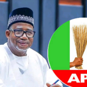 bala-mohammed-dismisses-defection-rumours,-says-no-official-statement-on-leaving-pdp