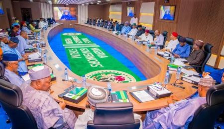 state-police-proposal-set-for-national-assembly,-nigeria-governors-forum-confirms