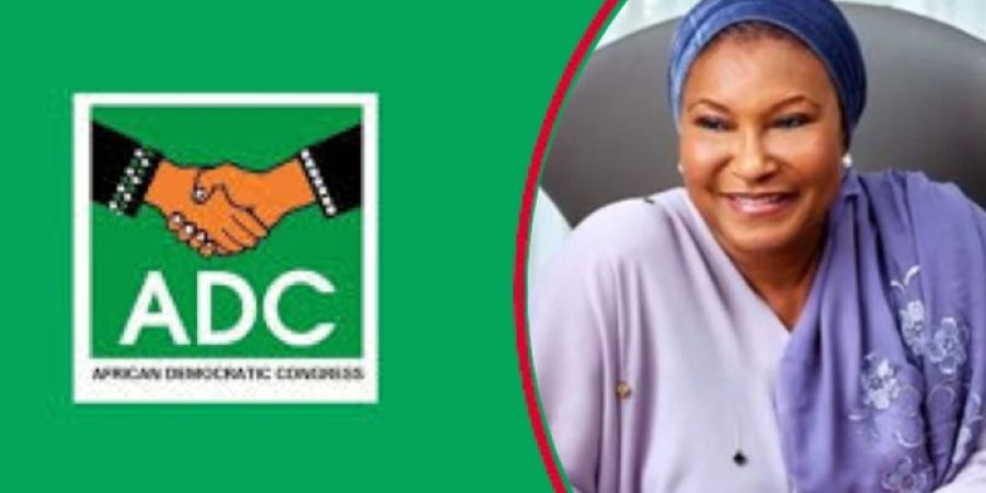 court-declines-bid-to-stop-senator-kingibes-adc-activities,-orders-hearing