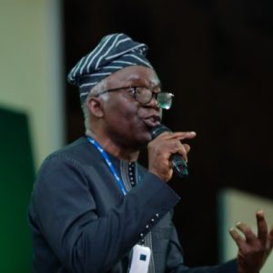 falana:-courts-lack-power-to-grant-interim-injunctions-in-political-party-disputes