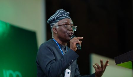 falana:-courts-lack-power-to-grant-interim-injunctions-in-political-party-disputes