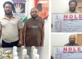 ndlea-uncovers-cocaine-concealed-in-palm-kernel-oil-cans,-arrests-kingpin-in-lagos