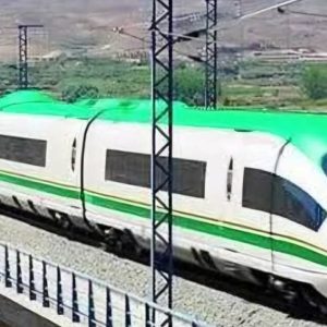 fg-sets-up-panel-to-vet-$200bn-high-speed-rail-mega-project