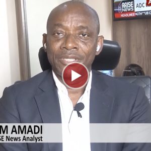 sam-amadi:-inec-and-courts-fuel-nigerias-party-crises-through-conflicting-decisions