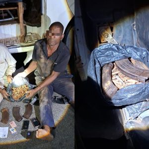 troops-disrupt-terrorists-supply-route-in-kogi,-arrest-key-couriers