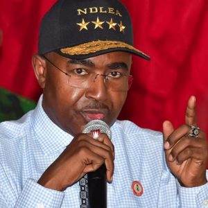 court-backs-ndlea-in-n33.6bn-drug-forfeiture-case-at-onne-port