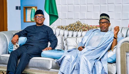 peter-obi,-bala-mohammed-pledge-political-collaboration,-push-for-national-unity