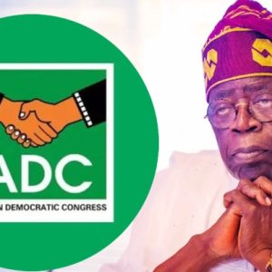 presidency-defends-tinubu,-dismisses-adc-criticism-over-convention-remarks
