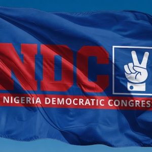 2027-polls:-ndc-pegs-presidential-nomination-form-at-n40m,-adopts-open-secret-ballot-primaries