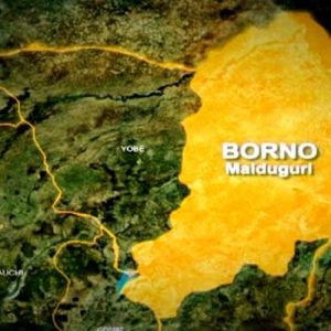 suspected-boko-haram-terrorists-abduct-students-from-borno-school