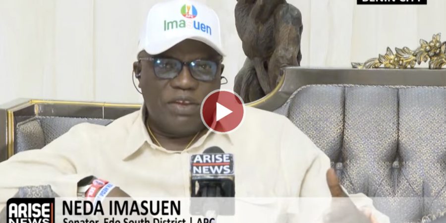 neda-imasuen:-only-the-apc-national-working-committee-can-announce-primary-results