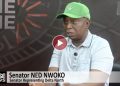ned-nwoko:-delta-apc-primaries-process-manipulated-by-state-government