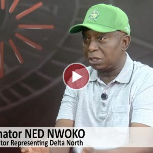 ned-nwoko:-delta-apc-primaries-process-manipulated-by-state-government