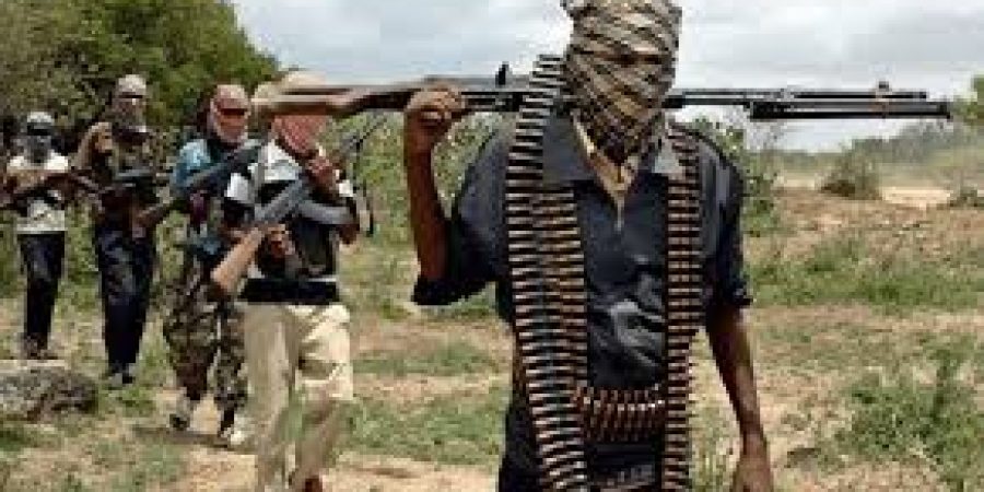 US Report Says 30,000 Armed Fulani Militants Operating Across Nigeria us-report-says-30,000-armed-fulani-militants-operating-across-nigeria