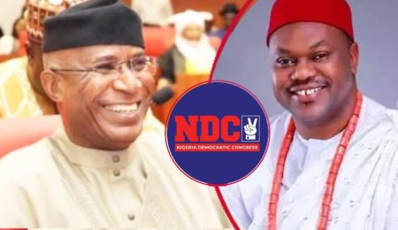ndc-clears-omo-agege,-ochei-to-contest-for-2027-senate-seats-after-apc-defection