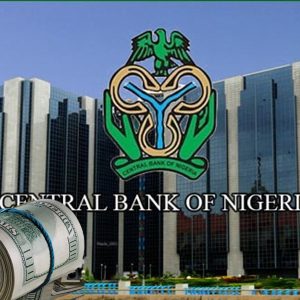 nigerias-external-reserves-hit-17-year-high,-surpass-$50bn-for-first-time-since-2009