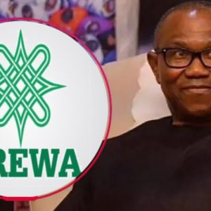 arewa-group-accuses-peter-obi-of-plot-to-replace-ndc-primary-winner-in-abuja
