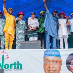 ekiti-guber-poll:-apc-unveils-national-campaign-council-ahead-of-election-wednesday