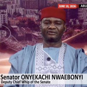 nwaebonyi:-apc-primaries-most-credible,-i-credit-legislature-for-tailoring-electoral-act