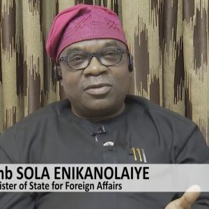 enikanolaiye:-nigeria-rejects-claims-it-has-largest-migrant-population-in-south-africa