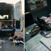 england-recover-stolen-training-equipment-ahead-of-world-cup-opener-in-kansas-city