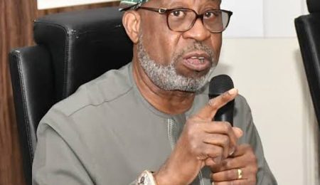 alake-seeks-end-to-raw-mineral-exports-as-afnis-secures-$600m-investments