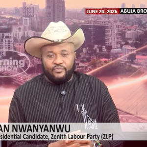 nwanyanwu:-efforts-to-stop-strong-opposition-candidates-from-contesting-threaten-democracy